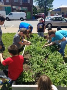 Children weeding raised bed